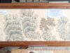 Manganese oxide dendrites No. A36