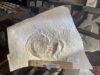 Ammonite No. A44