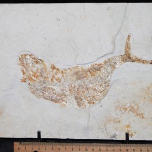 k-DSC_0027 k-DSC_0027