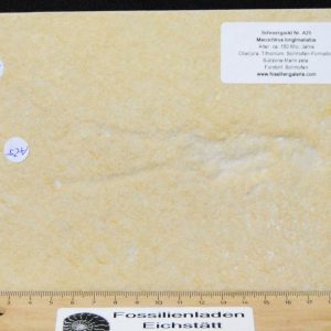 DSC_0422 (2) DSC_0422 (2)