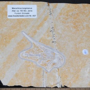 DSC_0477 (2) DSC_0477 (2)