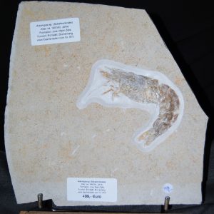 DSC_0003 (2) DSC_0003 (2)