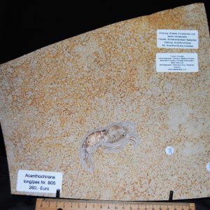 DSC_0007 (2) DSC_0007 (2)