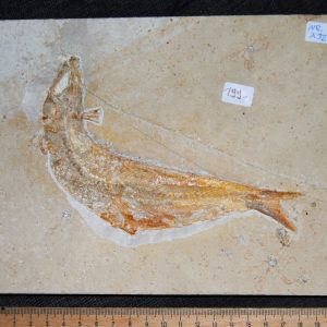 DSC_0018 (3) DSC_0018 (3)