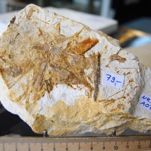 DSC_0062 (2) DSC_0062 (2)