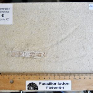 DSC_0002 (5) DSC_0002 (5)