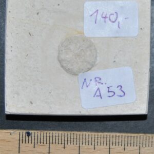 DSC_0001 (60) DSC_0001 (60)