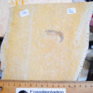 DSC_0001 (79) DSC_0001 (79)