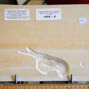 DSC_0001 (88) DSC_0001 (88)