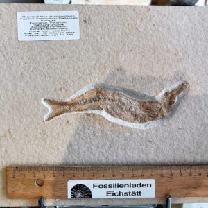 IMG20230802152421 (002) IMG20230802152421 (002)