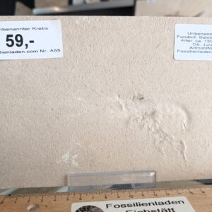 A055 Krebs A055 Krebs