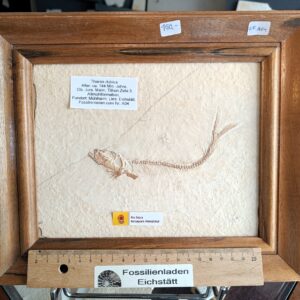 a04 Tharsis in Holzrahmen