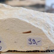 age approx. 144 million years