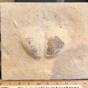 Stärke ca. 1,9 cm, Platte ca. 11 x 9 cm