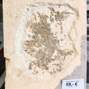 a99 Locality: Mühlheim, district of Eichstätt, Germany